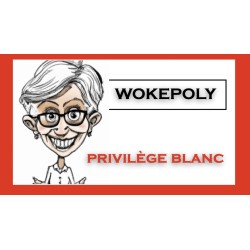 CARTES DE JEU WOKEPOLY